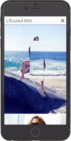 Apple iPhone holder for video.